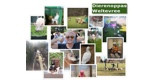 Dierenoppas Weltevree