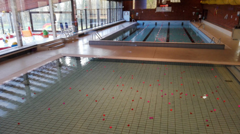 Aanbieding zwembonnen voor bedrijven en kleine middenstand in Arendonk